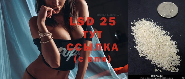 ПСИЛОЦИБИНОВЫЕ ГРИБЫ Майский