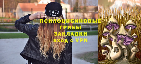 ПСИЛОЦИБИНОВЫЕ ГРИБЫ Майский
