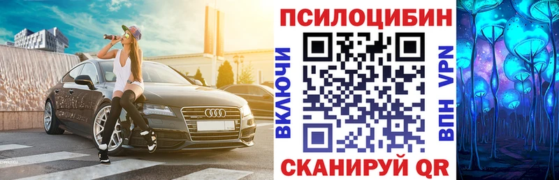 Галлюциногенные грибы Cubensis  Стрежевой 